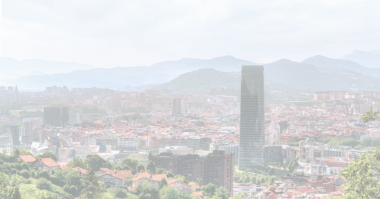 bizkaia euskaltax
